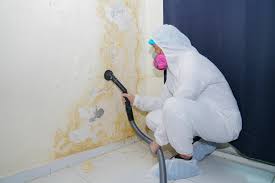 Reliable Lincolnshire, IL Mold Inspection Solutions